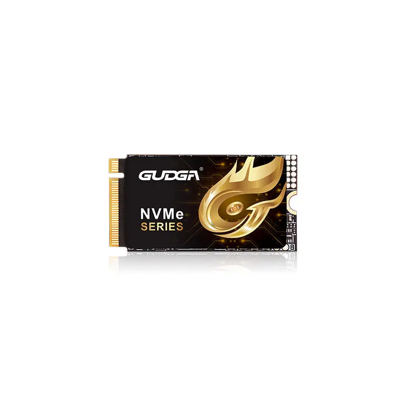 2242 Dolžina PCIE 4.0 NVMe SSD 7000MB/s